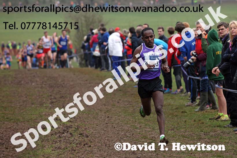 Senior mens Inter Counties Cross Country, Prestwold Hall, Loughborough. Photo: David T. Hewitson/Sports for All Pics